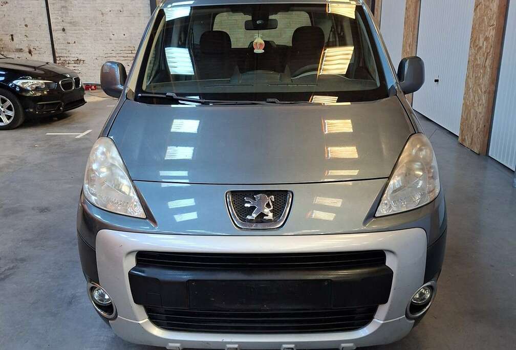 Peugeot Tepee 1.6