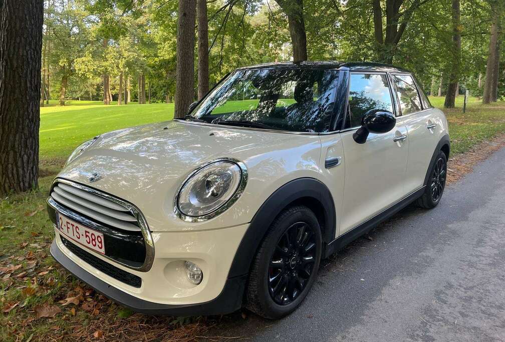 MINI 1.5