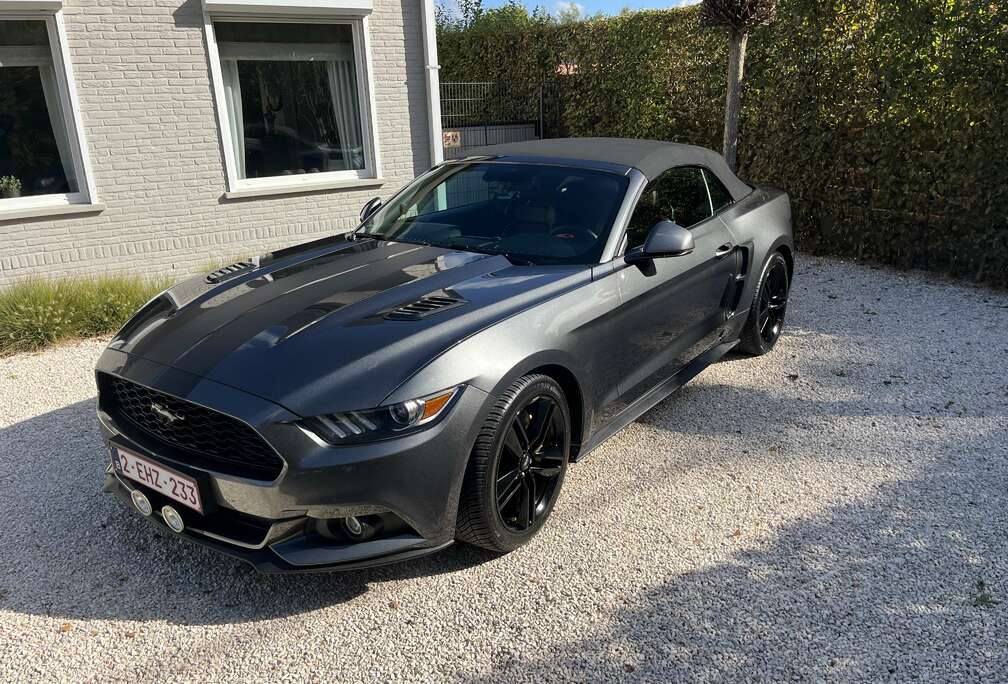 Ford Cabrio 2.3 Eco Boost