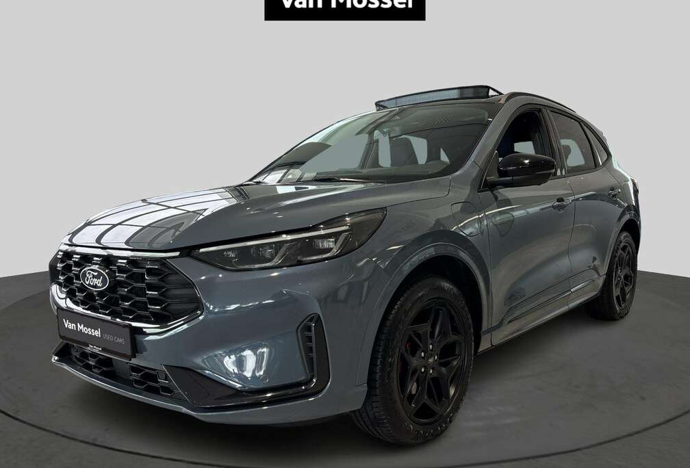 Ford Bluecruise Edition - Winter Pack - Pano dak
