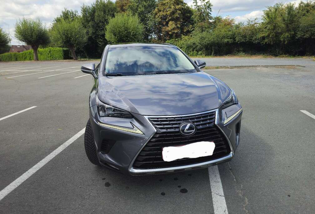 Lexus 2.5i AWD Executive Line E-CVT (EU6.2)