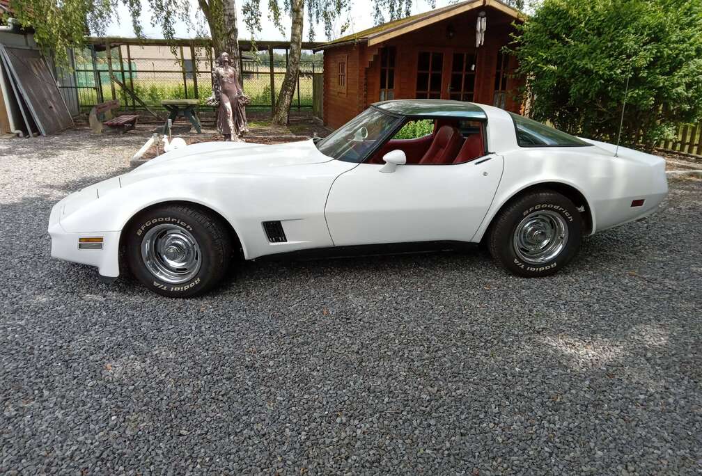 Corvette targa