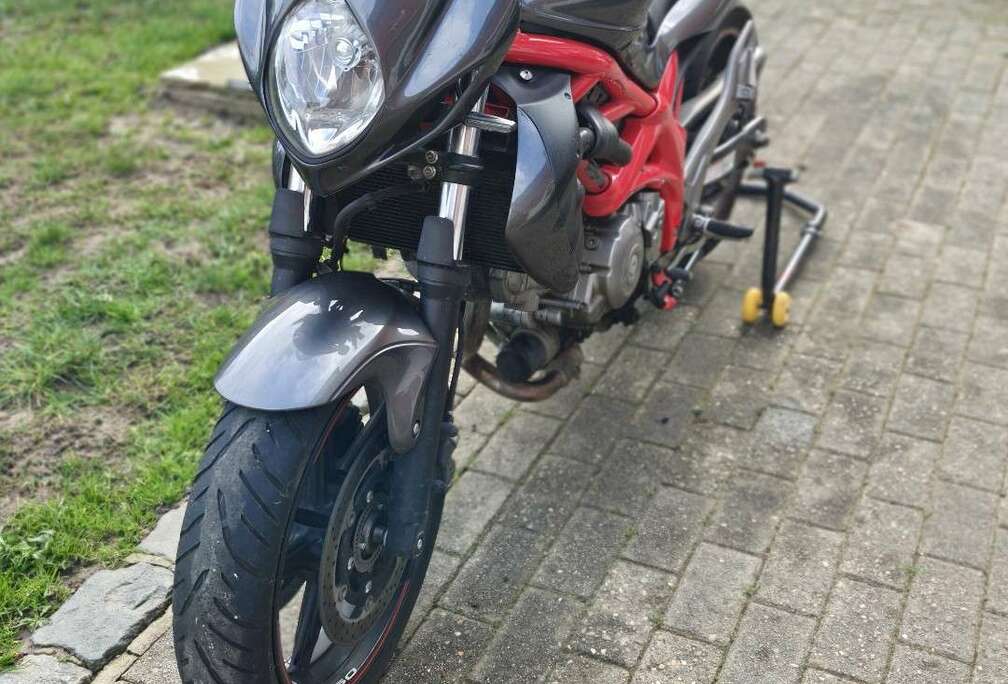 Suzuki Trophy