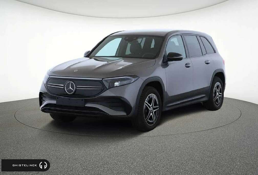 Mercedes-Benz 250+ Business Line