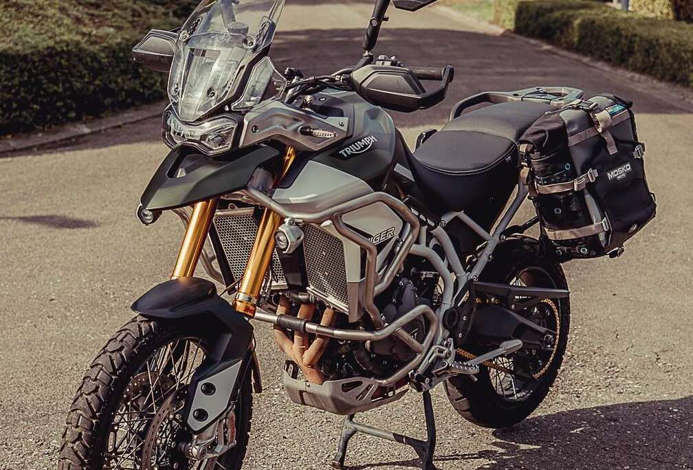 Triumph Rally Pro