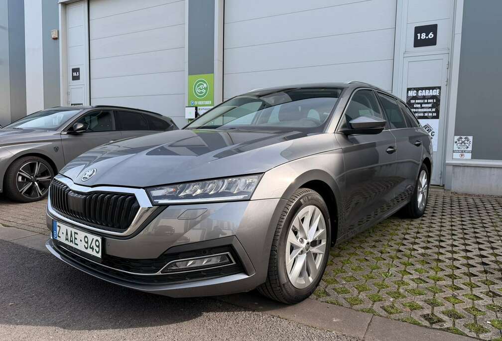 Skoda eTec  Clever  APP  Trekhaak  230V  Camera