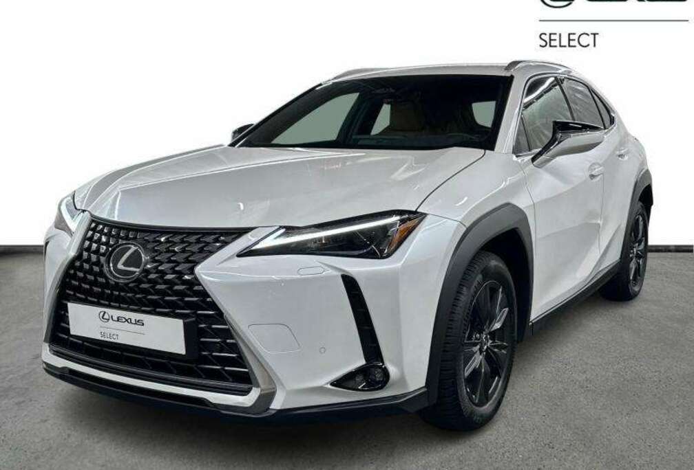 Lexus Business Line 199pk/4Season Tyres