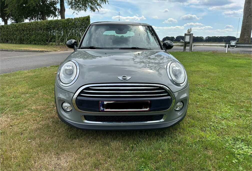 MINI