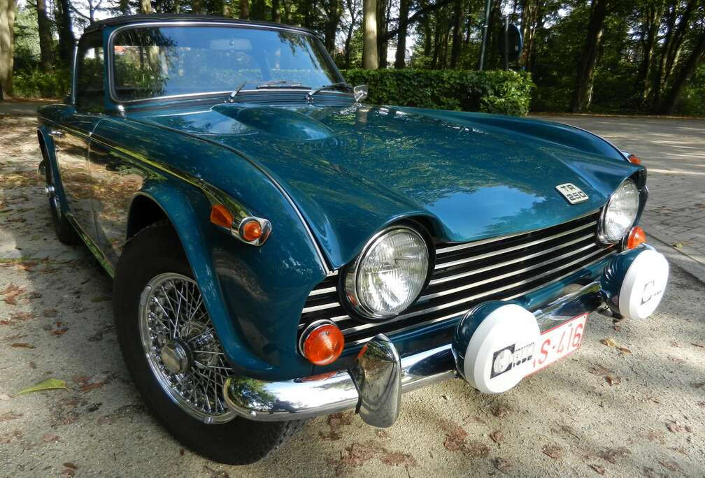 Triumph TR 250