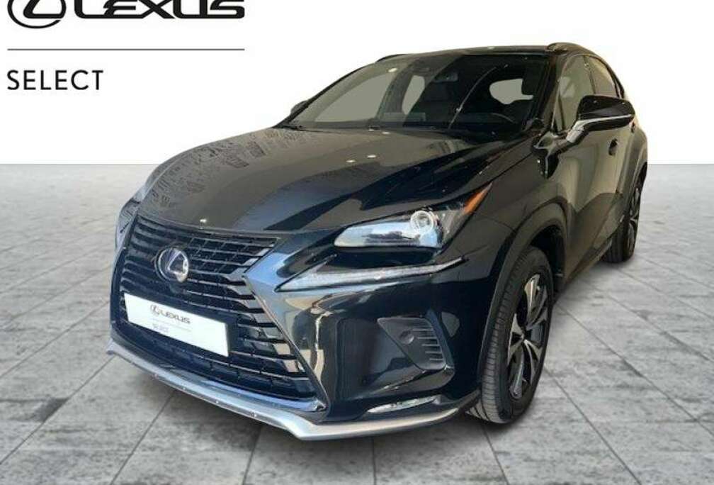 Lexus Black Line