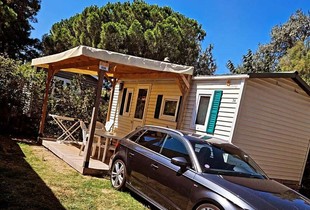 Audi 35 TFSI ACT Sport (EU6d-TEMP)