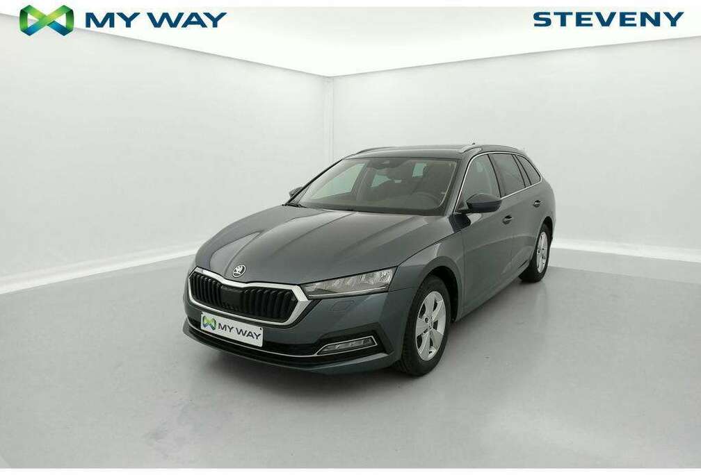 Skoda Clever 2.0 TDI 85 kW (115 ch)