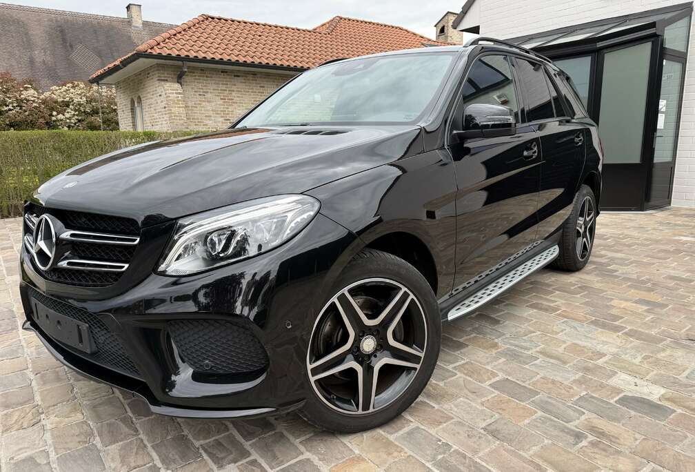 Mercedes-Benz d 4-Matic Lichte vracht