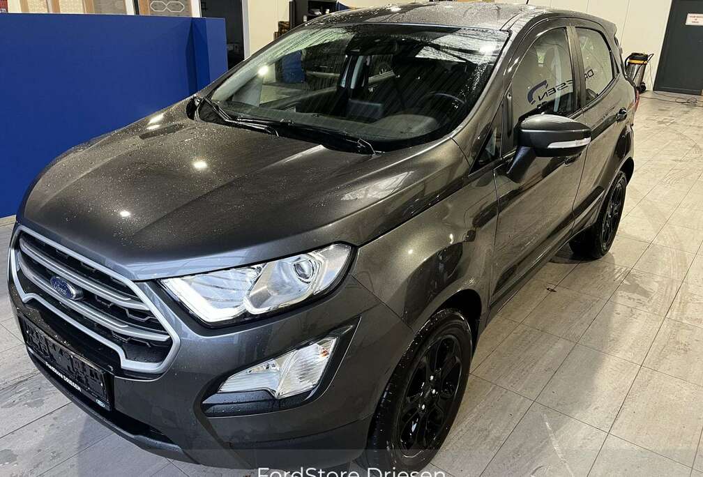 Ford Connected 1.0i 100pk   BIJ DRIESEN BREE 089/461610