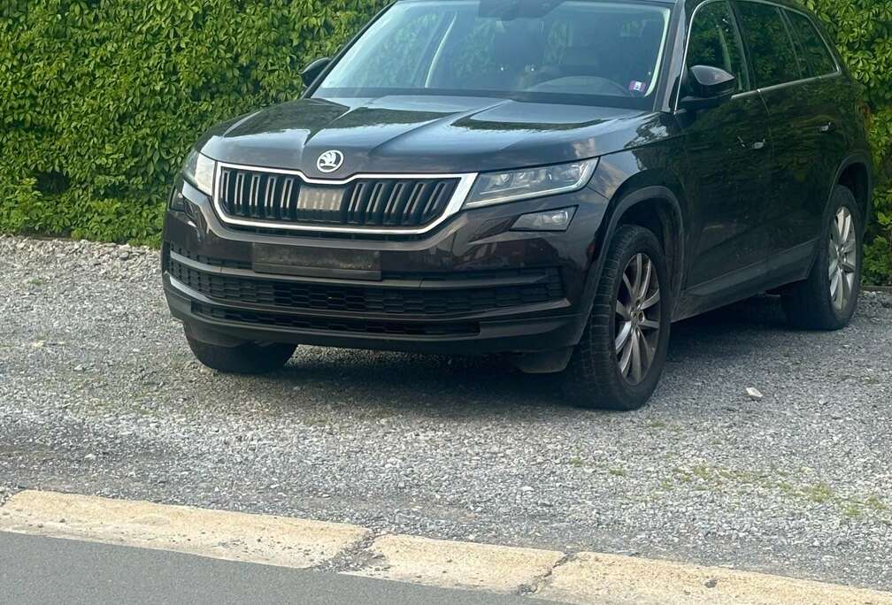 Skoda 2.0 CR TDi 4x4 Ambition DSG