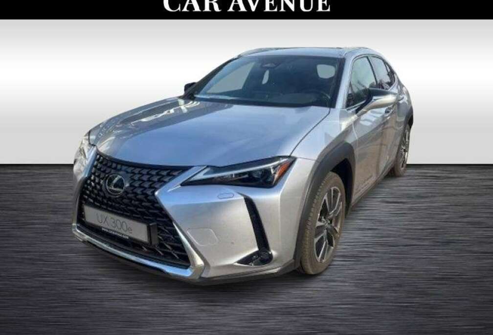 Lexus 300h