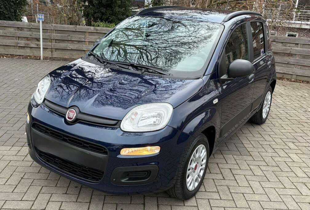 Fiat 1.2i Easy (EU6d-TEMP)