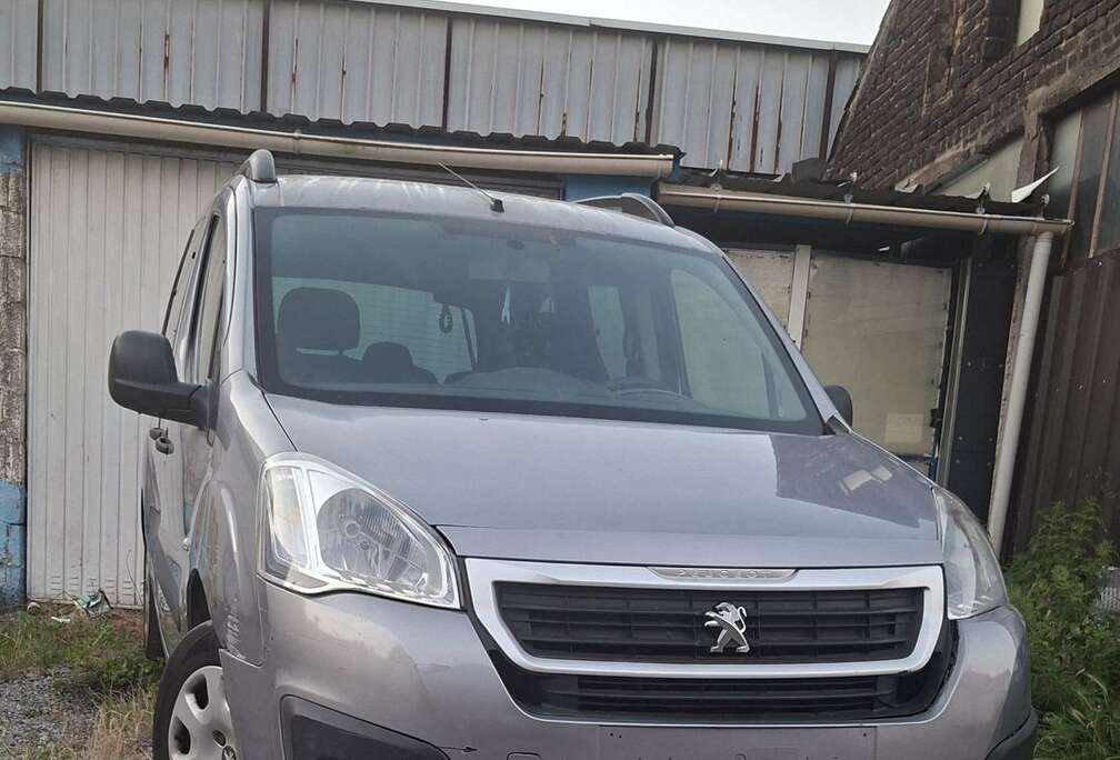 Peugeot Tepee 1.6 BlueHDi Style S&S