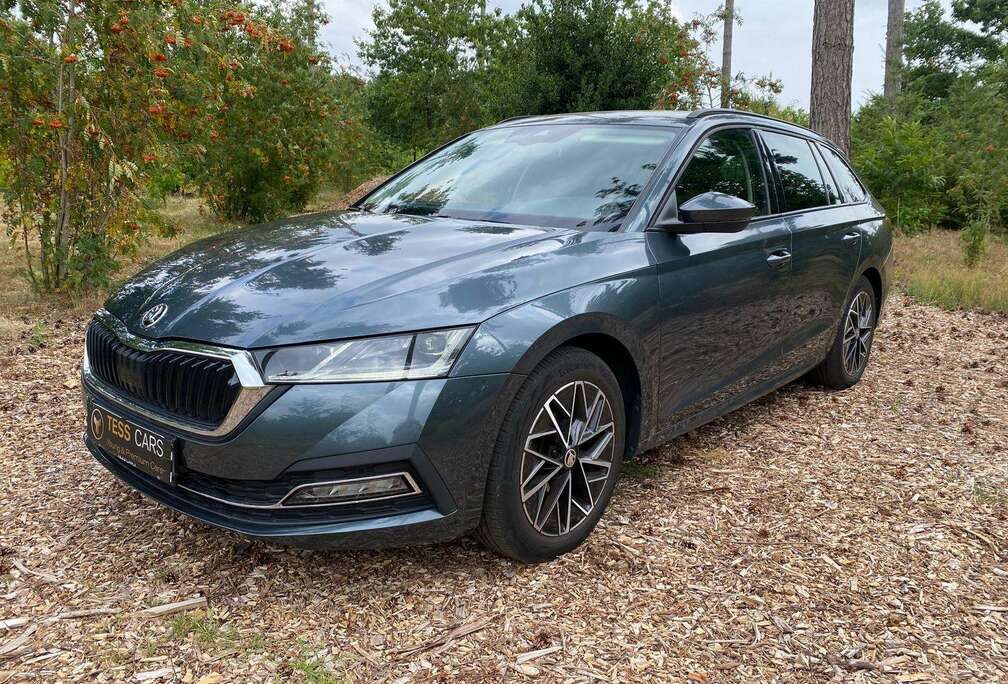 Skoda Style, 17 Inh,LED,DAB,Verw zetel + stuur, AfnTrekhaak....