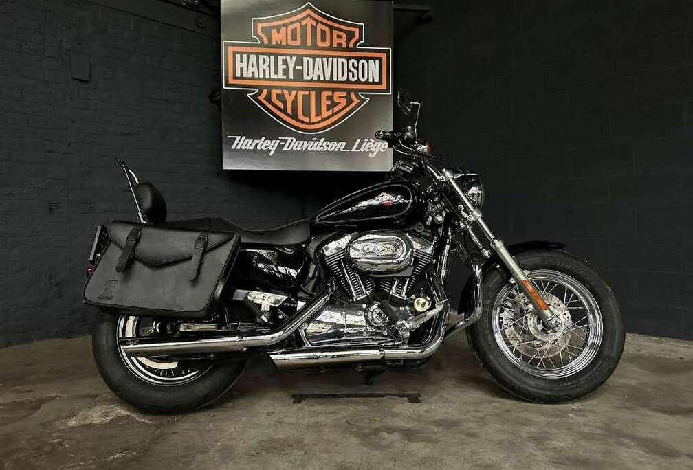 sportster
