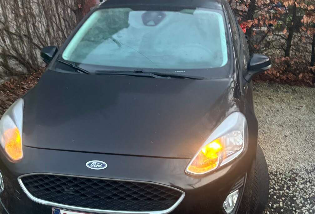 Ford Fiesta Active 1.0 EcoBoost Active 1 (EU6.2)