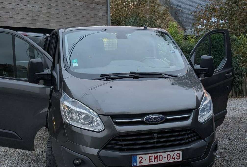 Ford 290 L1H1 LKW VA Basis