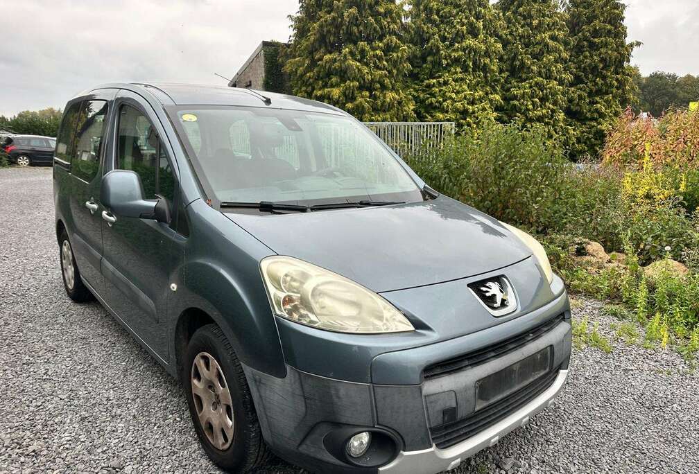 Peugeot Partner Tepee 1.6 HDi