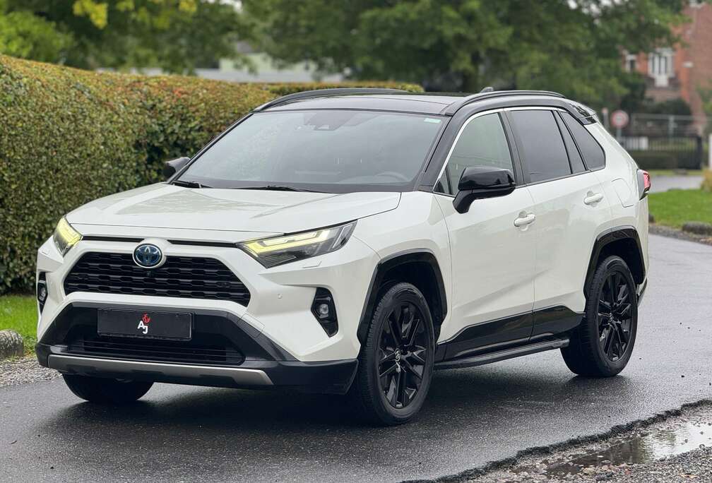 Toyota RAV4 Hybrid STYLE PLUS COLD PACK 2.5i 2WD