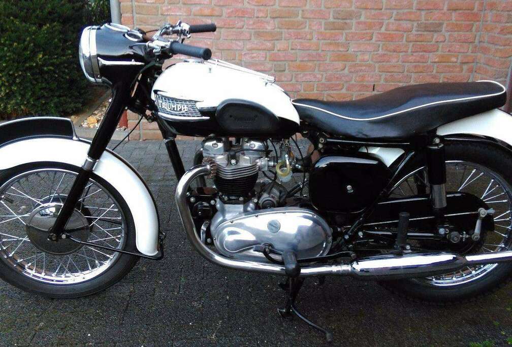 Triumph