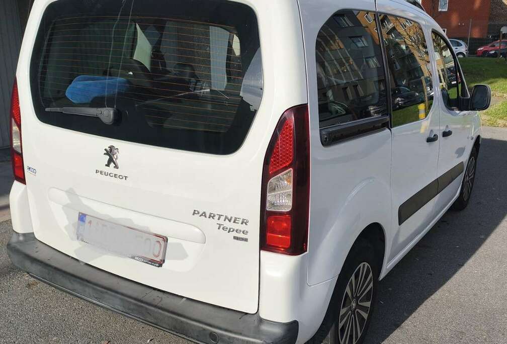 Peugeot Tepee 1.6 HDi FAP 92ch Active