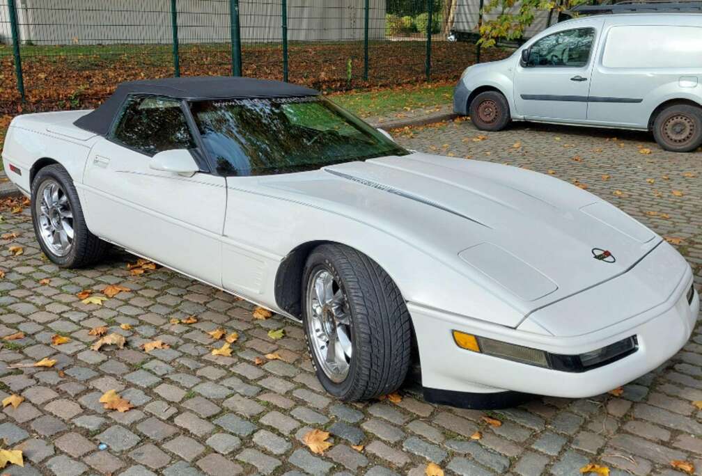 Corvette
