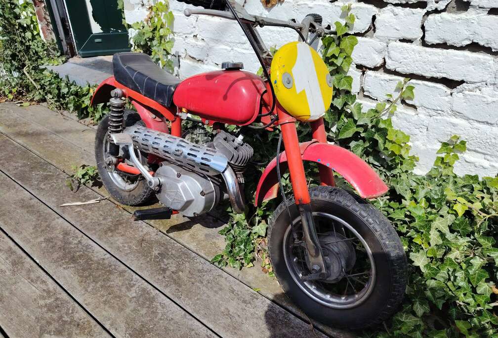 Bambino