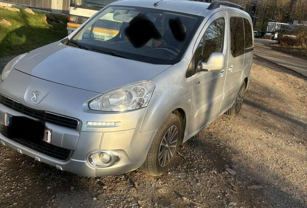 Peugeot Tepee 1.6 HDi Access