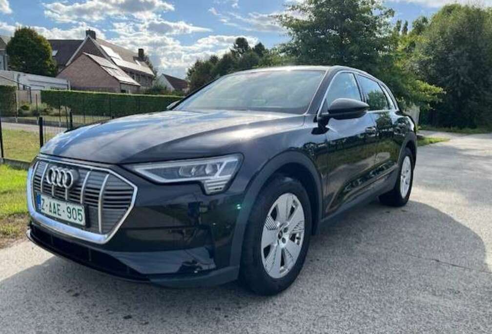 Audi E-Tron 95 kWh 55 Quattro Advanced *Navi*Leder*Cam*Lane*Keyless* BTW incl