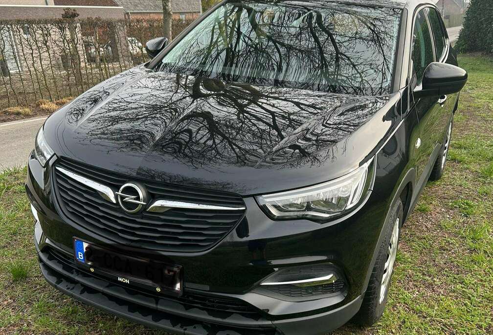 Opel Grandland X 1.2 Turbo ECOTEC Design Line (EU6.2)
