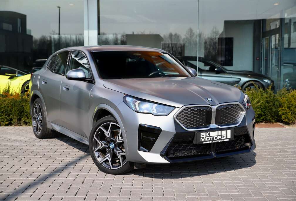 BMW 66.5 kWh xDrive30 I Iconic Glow I Frozen Pure Grey