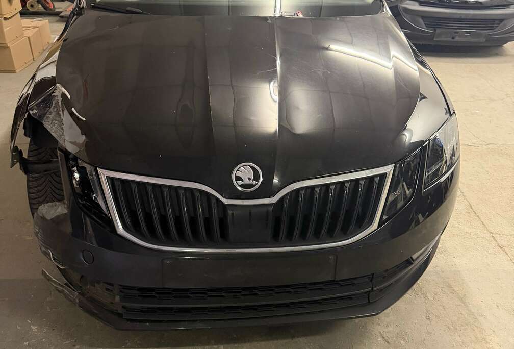 Skoda Octavia SW 1.6 CR TDi Ambition (EU6.2)
