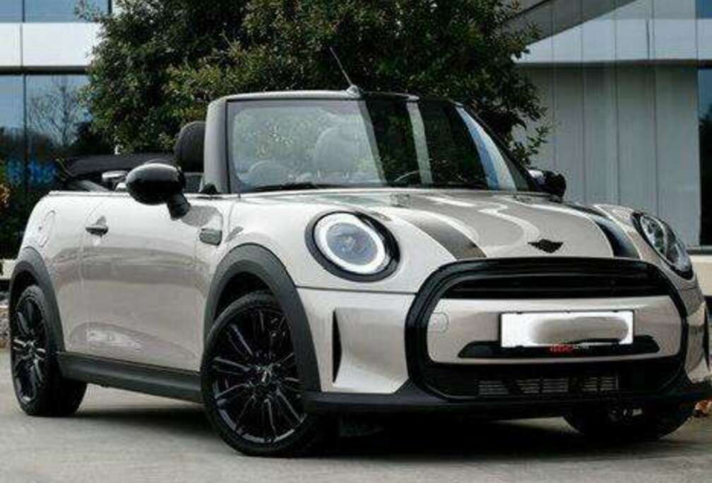 MINI Mini Cooper Cabrio Aut. MINI Yours Trim