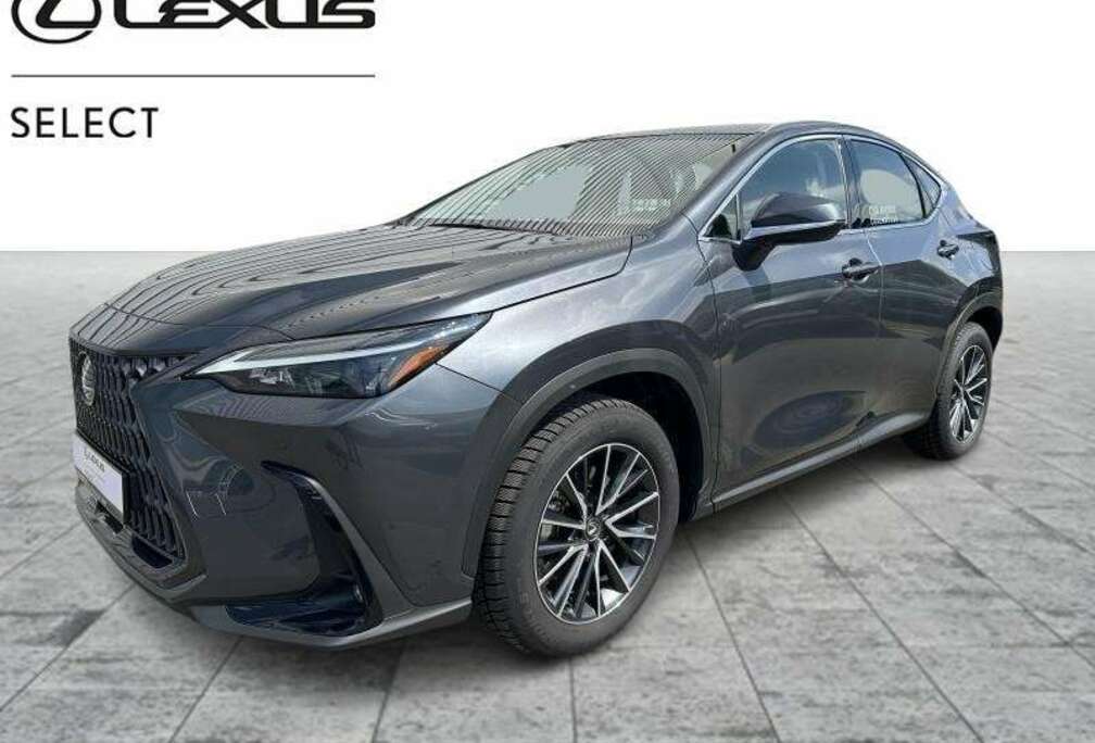 Lexus Business Line