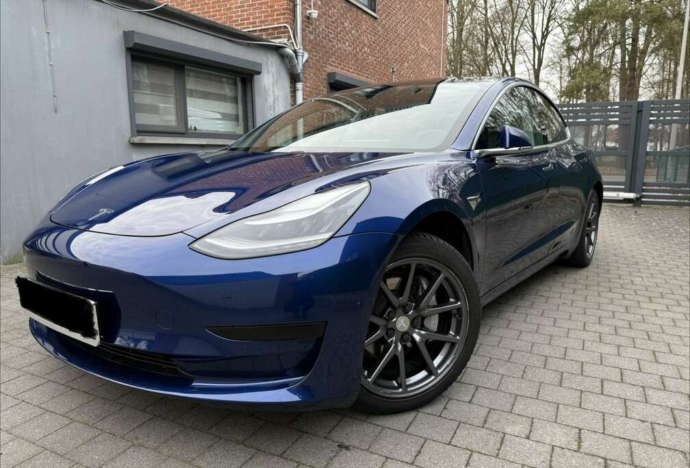 Tesla Standard Reichweite Plus Hinterradantrieb