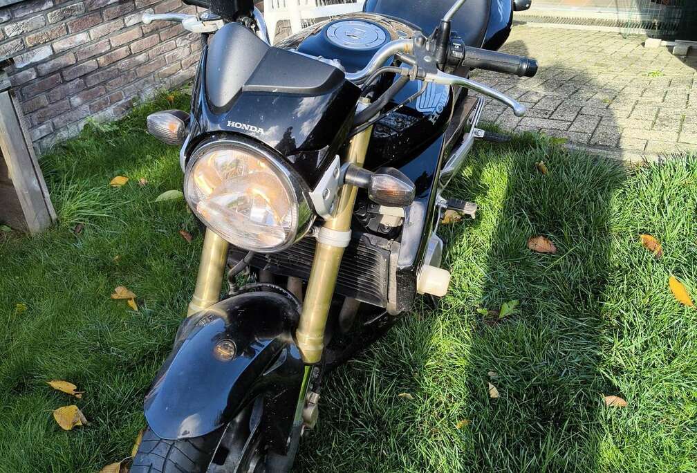 Honda hornet