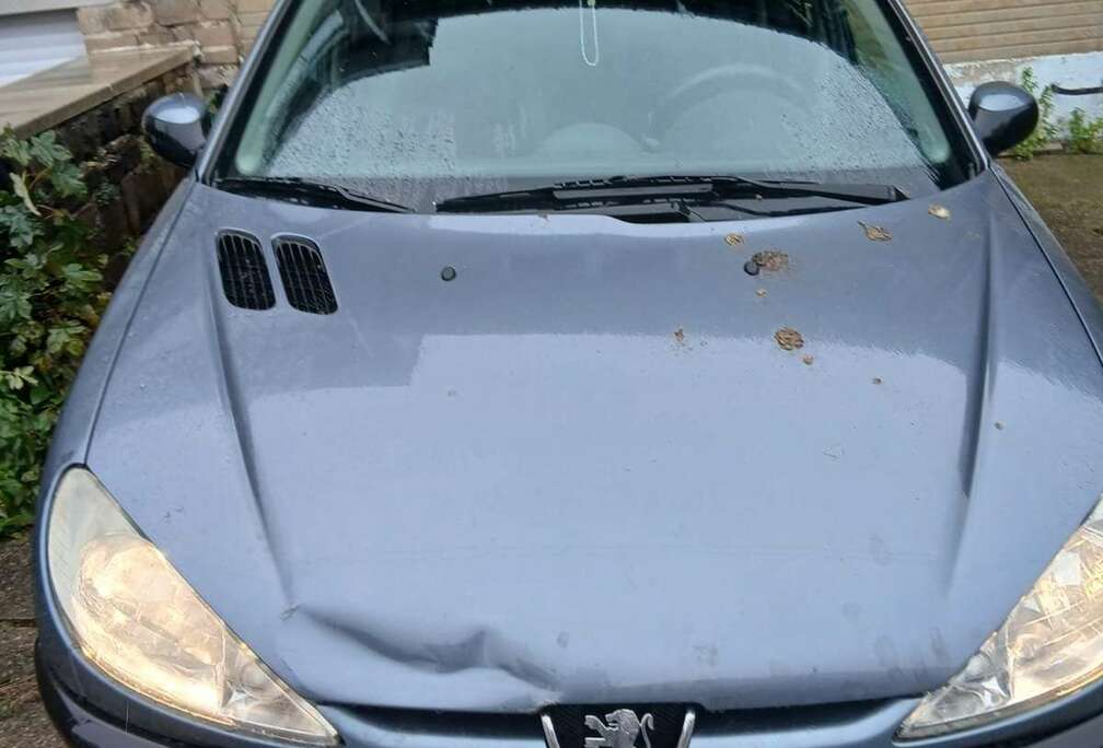 Peugeot 206 1.4 HDi Trendy