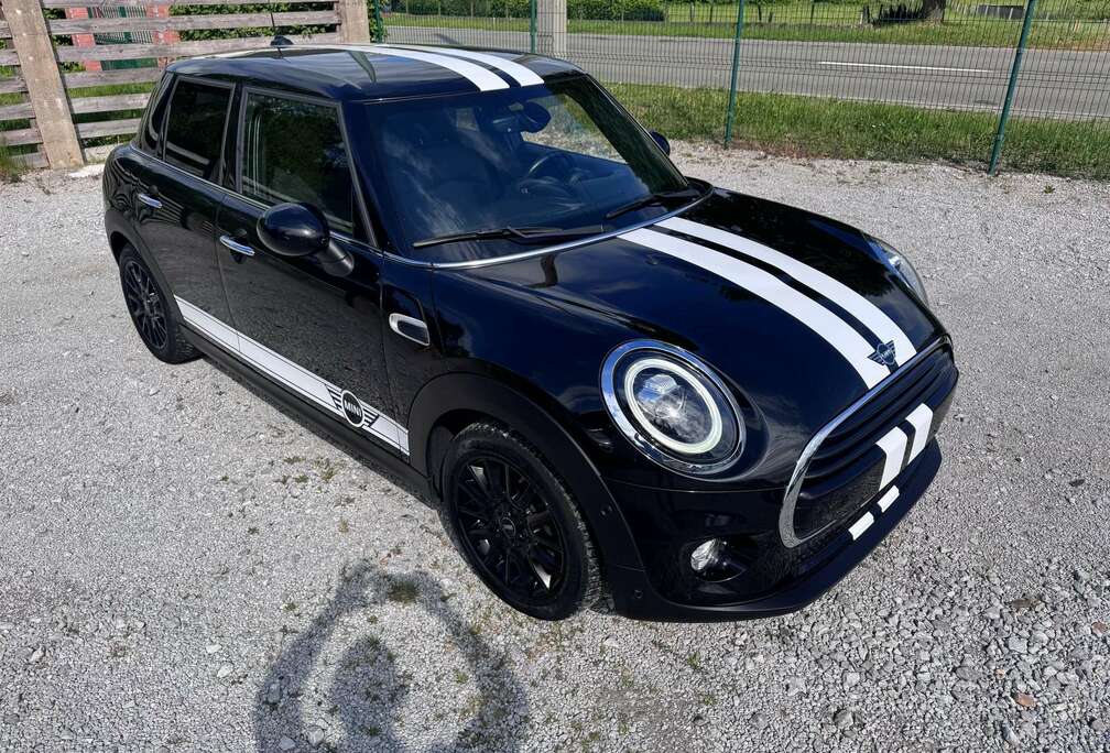 MINI