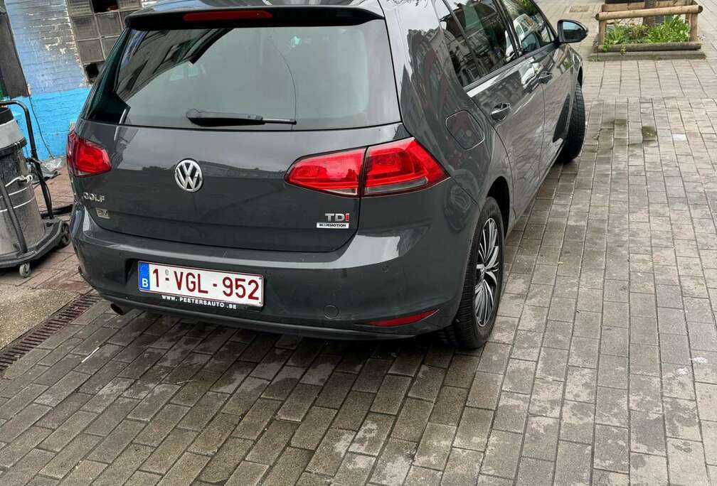 Volkswagen 1.6 tdi allstar