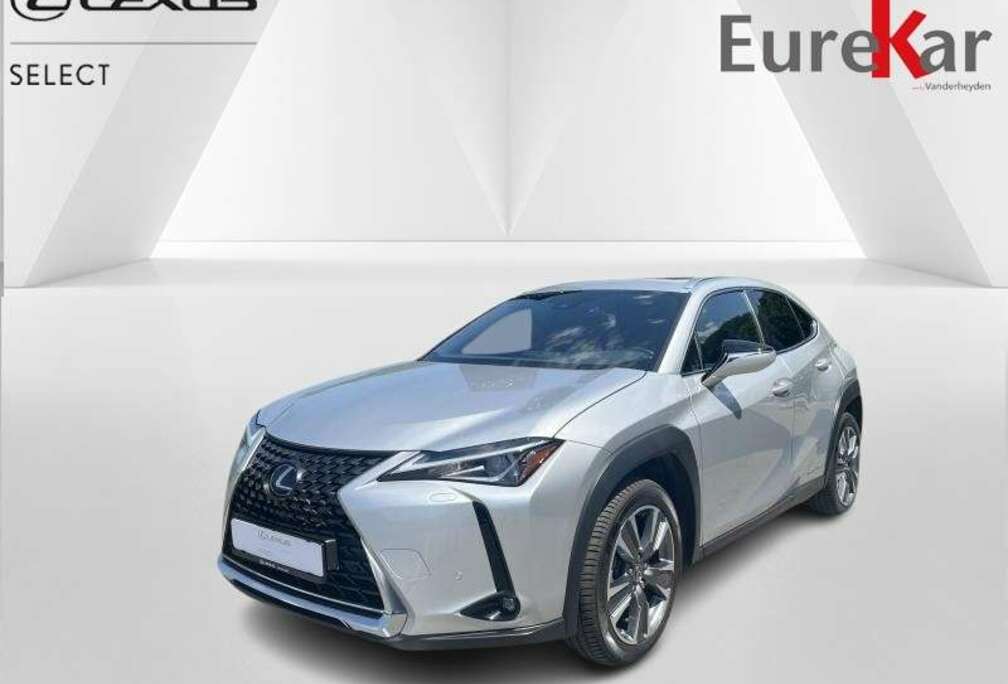 Lexus Executive Line