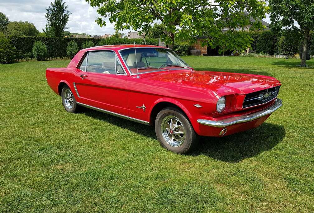 Ford Mustang coupe V8
