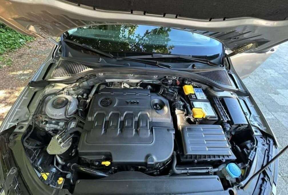 Skoda Active
