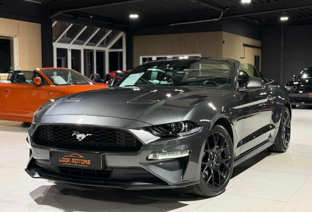 Ford Convertible 2.3 EcoBoost Automatique 290cv Distronic Cockpit Navigation Cuir Caméra CarPlay B&O FULL OPTIONS