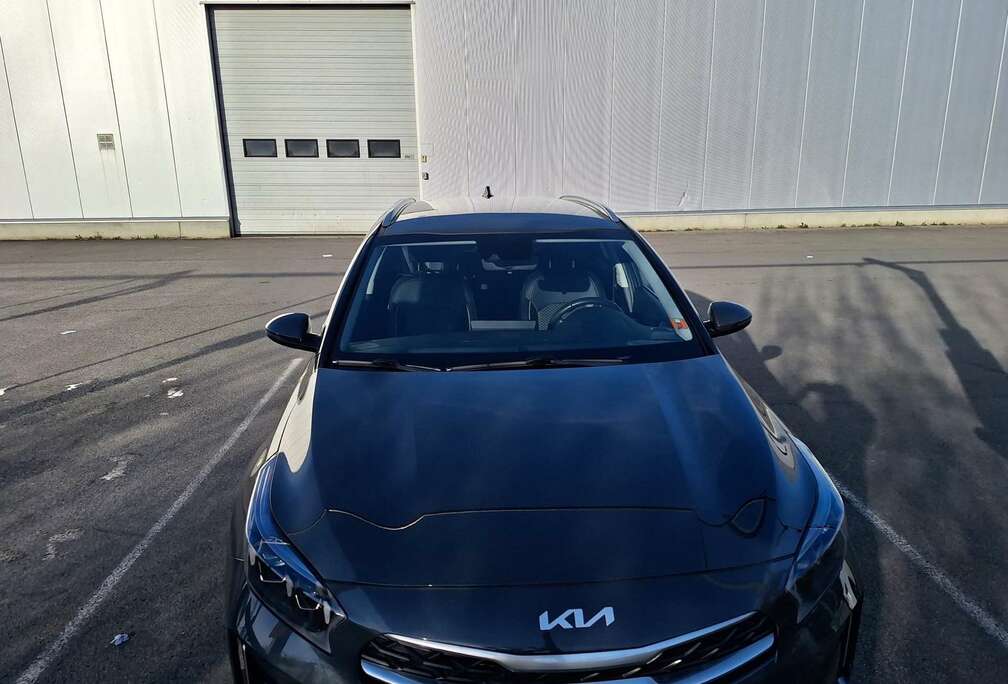 Kia 1.6 CRDi MHEV Pulse DCT