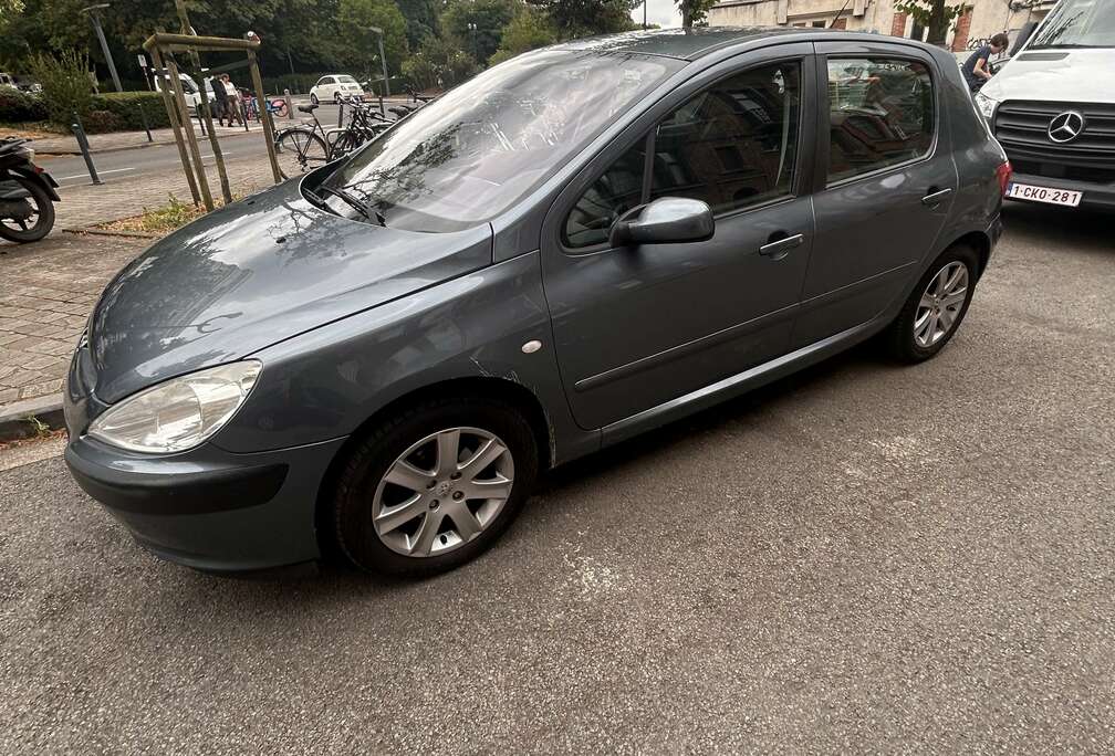 Peugeot 1.6i 16v XS